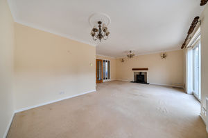 Lounge- click for photo gallery